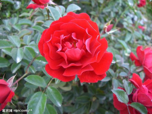 耐开程度，那可真是杠杠的！