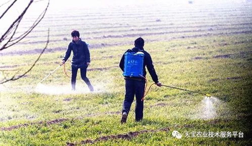 除草剂施用注意事项