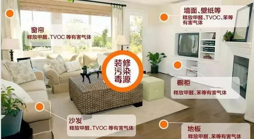 室内甲醛去除方法的多样选择