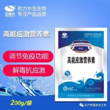 利高霉素全解析：畜牧养殖必备抗生素