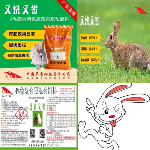 兔子长期食用预混料，真的能显著增加体重和肌肉量吗？