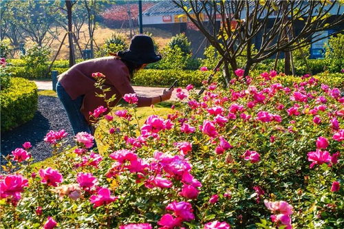 色彩设计，院内外皆美景