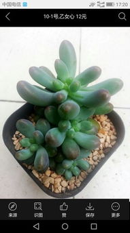 浇水也要讲究时机