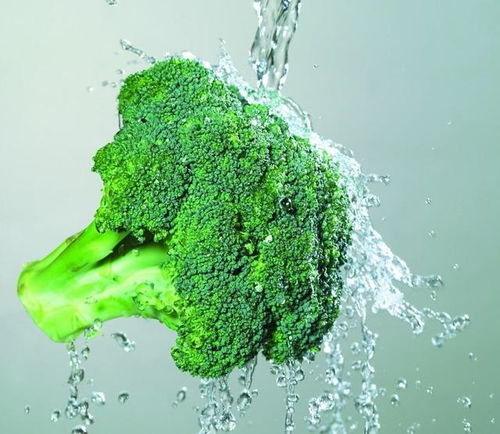 农药水浇花，到底行不行？