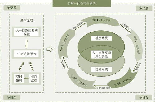 生态过程与景观格局