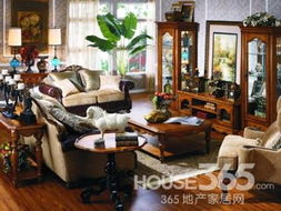 发财树——四季常青， 欣赏价值高