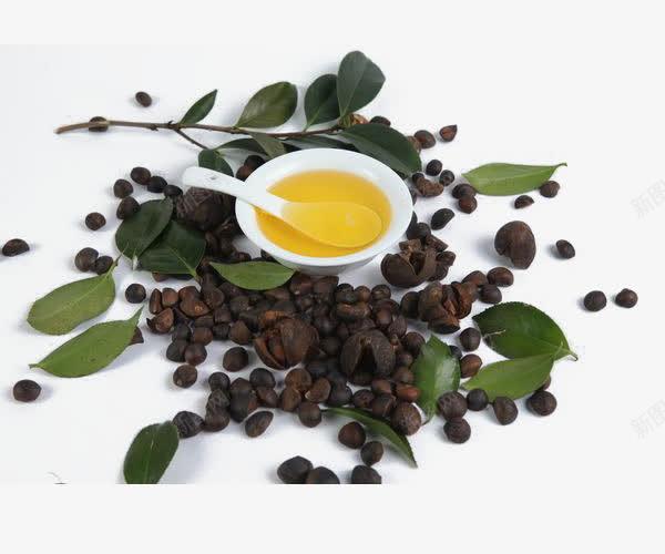 好运花山野生茶油，高价收购优质茶叶！