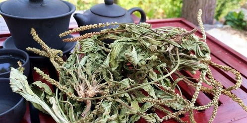 如何正确饮用避免误区？