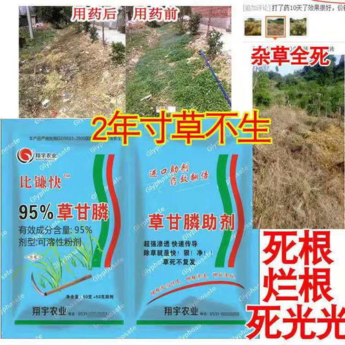 不同草甘膦含量的区别