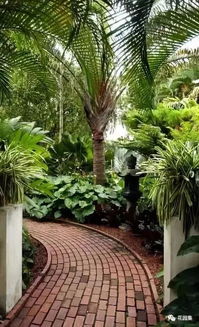 景观设计师的艺术魔法：植物配置的生态与美观之道