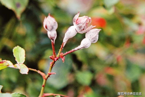 喷完之后要注意什么呢？