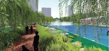 公园活动景观设计的挑战与机遇