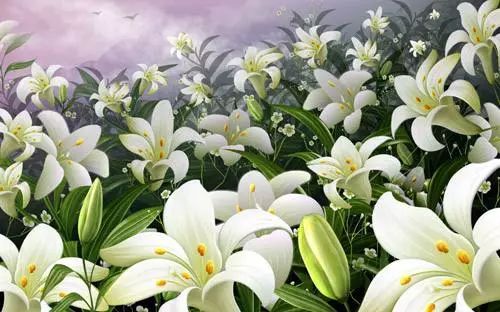百合花开了怎么养？拆下花瓣还能再开花吗