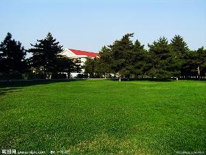 草坪修剪，别让病从口入