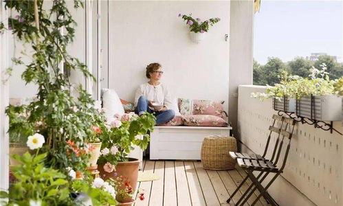 防踩雷技巧：红秋葵、 红狼尾草等