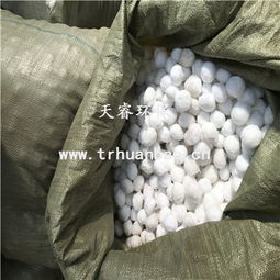 未脱盐的椰壳：土壤盐渍化， 植物遭殃