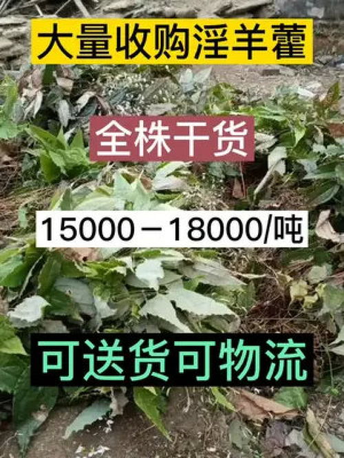 说到再说说的话：