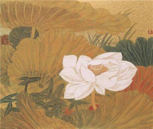 夏日荷花， 出淤泥而不染