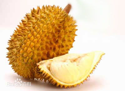 榴莲种子嫩种吗？种植榴莲要注意啥？