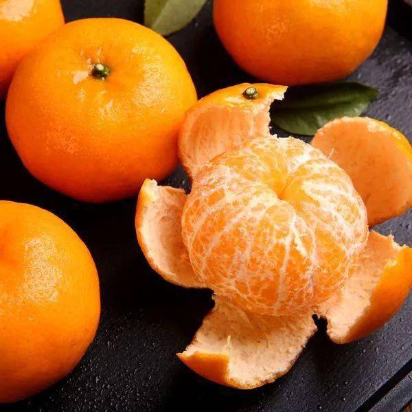 丑柑灰霉病防治：关键月份大揭秘！