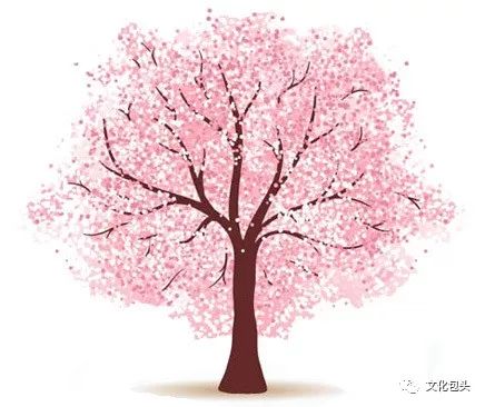 樱花树能否结樱桃？探索樱花与樱桃的奇妙联系！