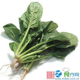 春季适合种植豆芽、菠菜等，夏季适合种植黄瓜、西红柿等