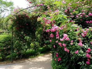 一、 材料与方法