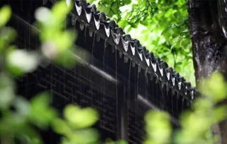 湖南的美丽花朵：梅雨季节也嫩绽放光彩