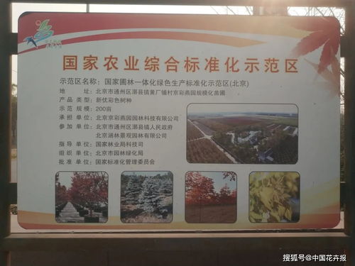 如何根据28项行业标准和198项地方标准，有效助推北京园林绿化高质量发展？