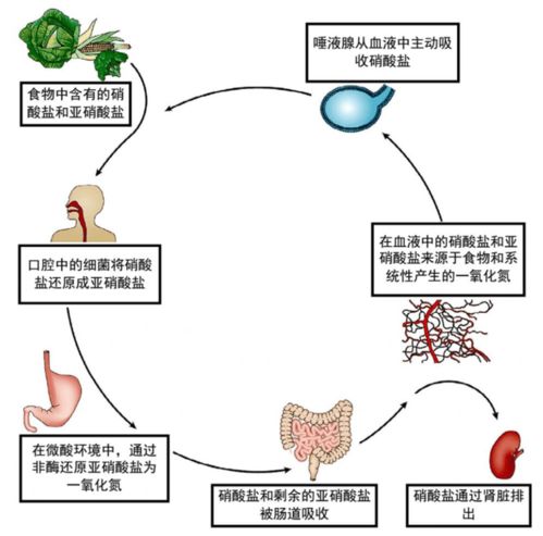 防控方法：多管齐下