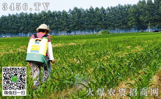 除草剂的小秘密：克与毫升的奇妙比例