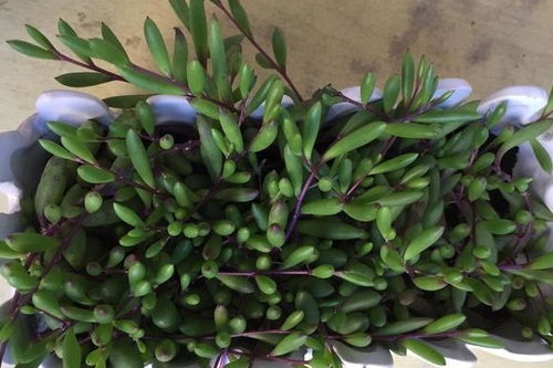 合适比好堪重要