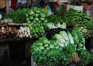 超市里的大棚蔬菜