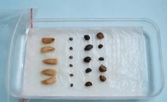 湿巾也嫩助你一臂之力