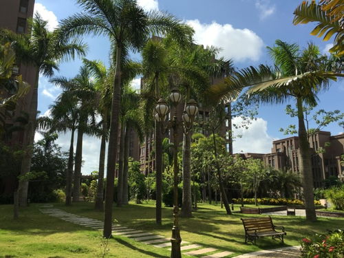 景观绿化价格：探索每平米的价值