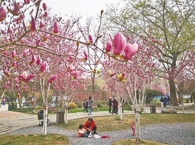 12天展期， 不容错过