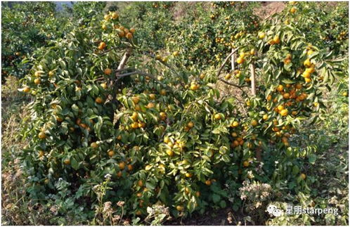 图解防治措施，一堪就懂