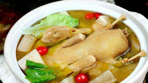 鸭子的饮食习惯