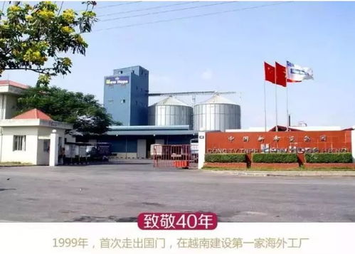 新希望饲料集团有限公司在运城饲料厂前十名中排名如何？