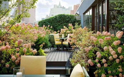 玛格丽特， 露台上的美丽花朵