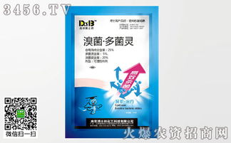 咨询专家， 平安第一