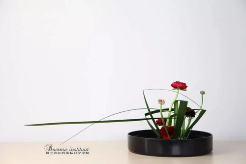 花艺创作：植物选择的大冒险