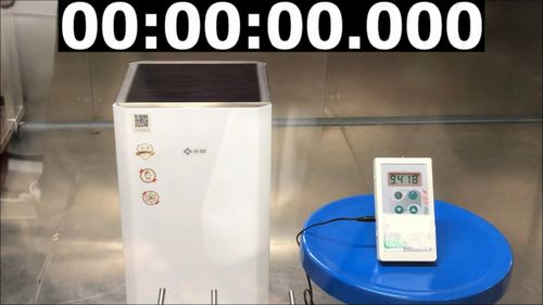 田七：天然空气净化高手，有效降低室内甲醛浓度！