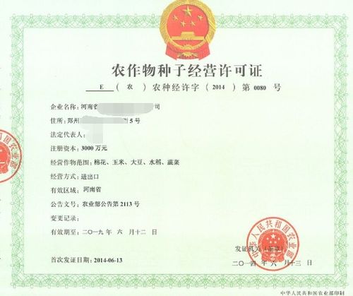 办证条件，我得给你划个重点