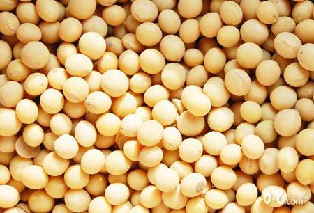 植物生长抑制剂：平衡生长的调节器