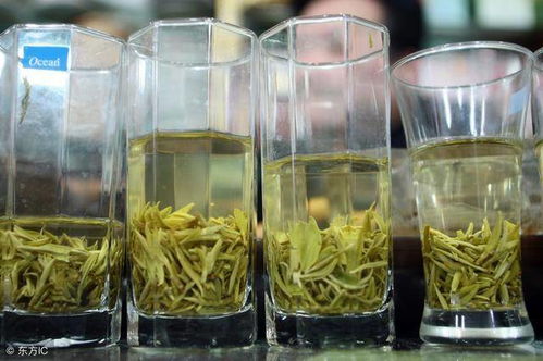 茶香四溢，先倒水还是先放茶？