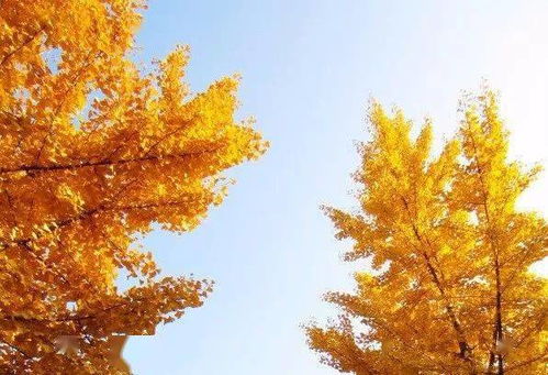 季节选对，种植才顺利