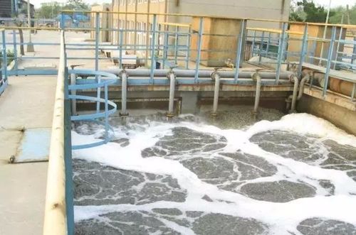 3. 废水生物处理