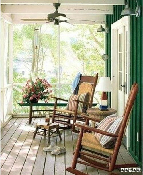 阳光、雨水，花儿的守护神