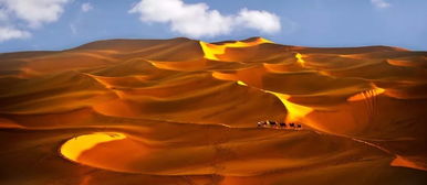 而以玫瑰实现“合龙”的再说说一步